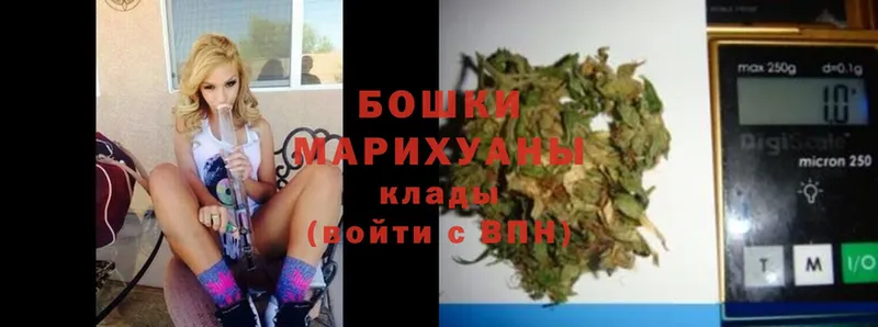 Каннабис White Widow  закладка  Сосновка 